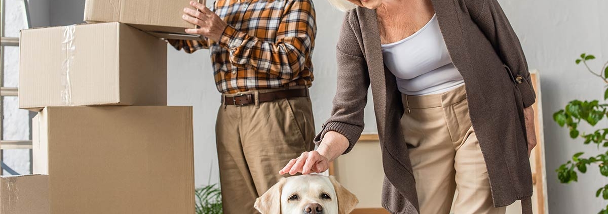 Ein altes Ehepaar mit Hund und Umzugskartons in einem Raum mit weißer Wand - Immobilienkauf