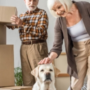 Ein altes Ehepaar mit Hund und Umzugskartons in einem Raum mit weißer Wand - Immobilienkauf