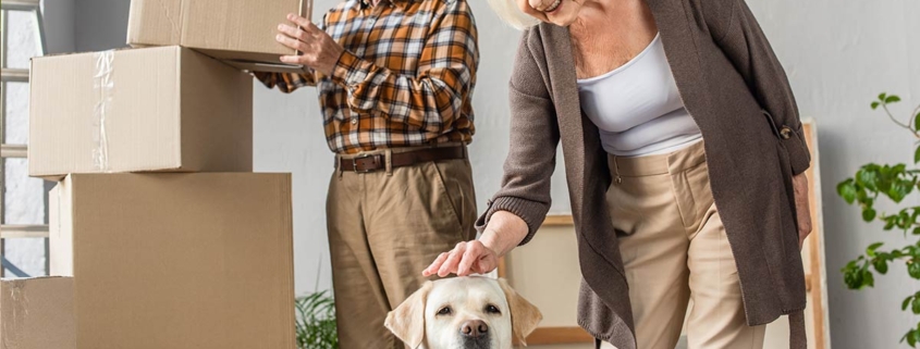 Ein altes Ehepaar mit Hund und Umzugskartons in einem Raum mit weißer Wand - Immobilienkauf