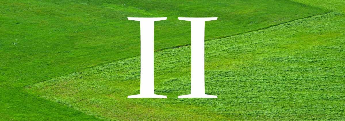 Die römische Zahl zwei in weiß vor einem grünen Rasen - Der Grundbuchauszug