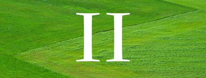 Die römische Zahl zwei in weiß vor einem grünen Rasen - Der Grundbuchauszug