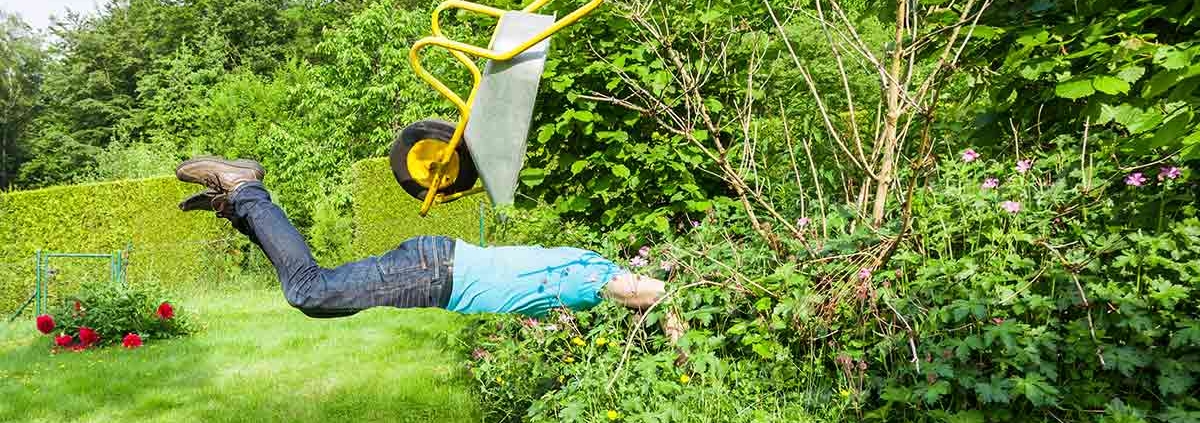 Ein Mann fällt mir einer Schubkarre in eine Hecke - Rechte und Pflichten von Immobilienbesitzern
