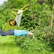 Ein Mann fällt mir einer Schubkarre in eine Hecke - Rechte und Pflichten von Immobilienbesitzern