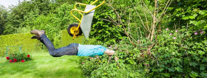 Ein Mann fällt mir einer Schubkarre in eine Hecke - Rechte und Pflichten von Immobilienbesitzern