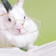 Ein Kaninchen mit Lesebrille und einem Buch - Makler werden