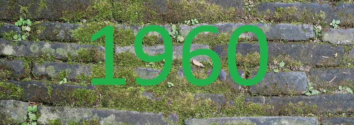 Eine grüne Zahl 1960 vor einer grauen Steinmauer - Zahl des Monats 1960