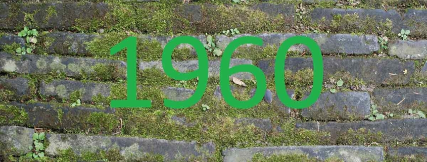 Eine grüne Zahl 1960 vor einer grauen Steinmauer - Zahl des Monats 1960